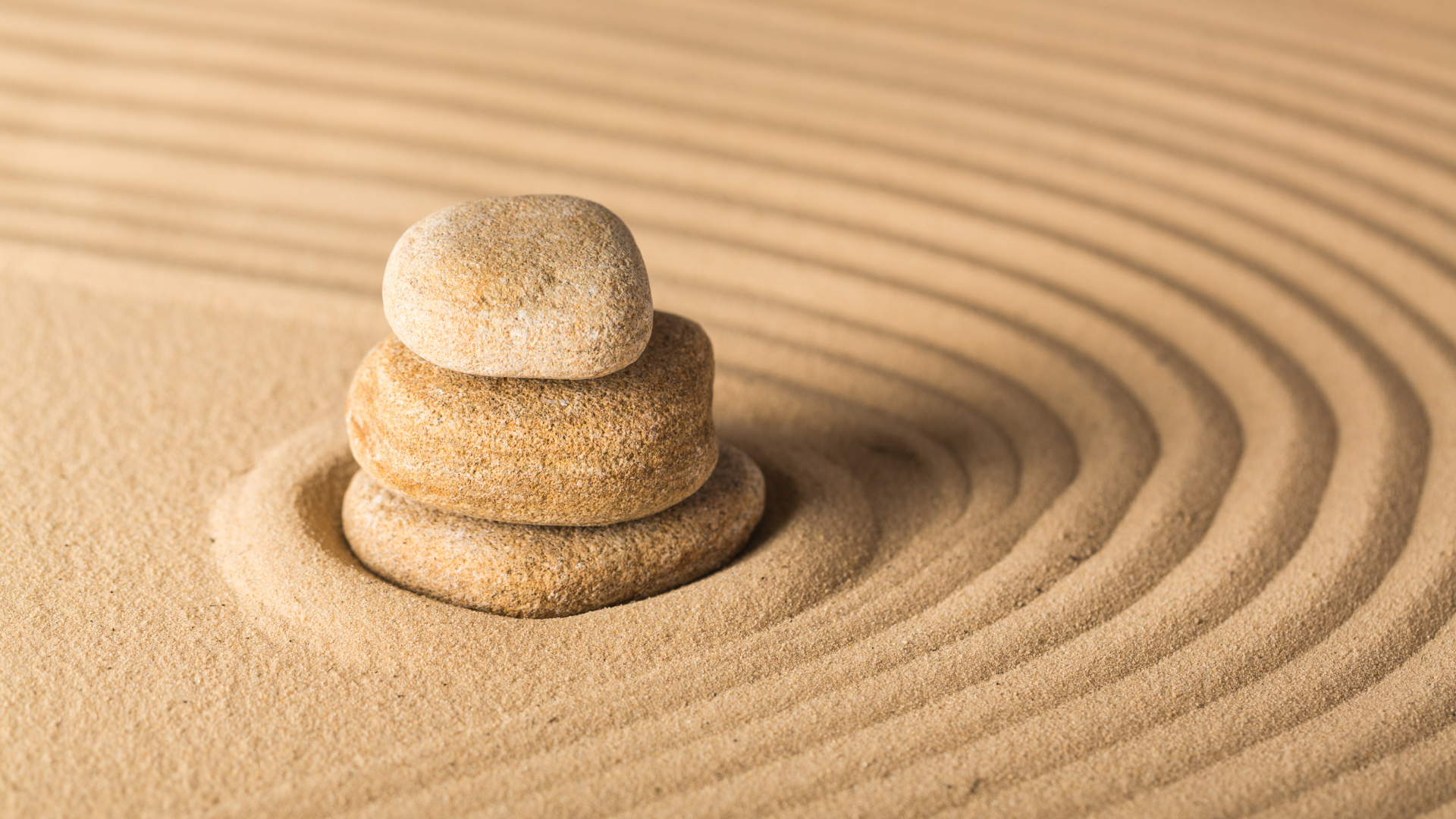 CBD for Anxiety: A Complete Guide